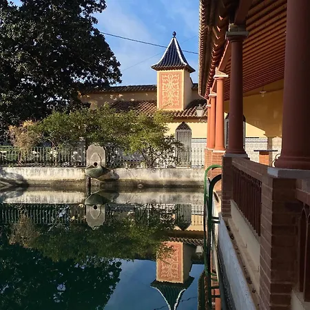 Casa Magnolia, A Rural Paradise House With Pool Villa Alzira