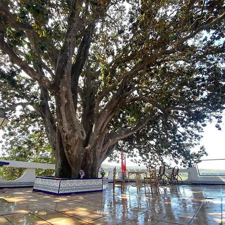 Villa Casa Magnolia, A Rural Paradise House With Pool