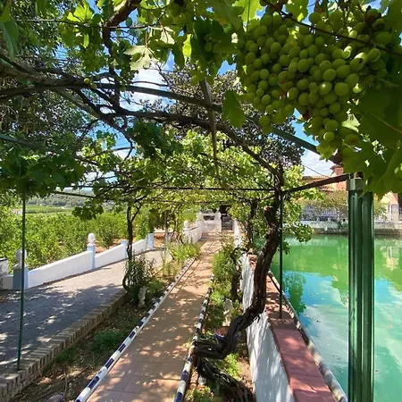 Casa Magnolia, A Rural Paradise House With Pool *