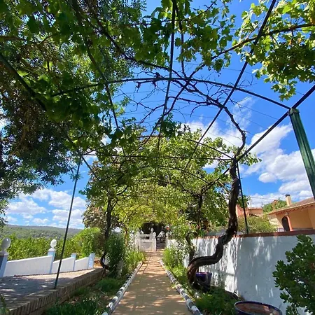 Casa Magnolia, A Rural Paradise House With Pool Villa Alzira