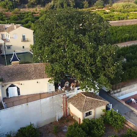 Villa Casa Magnolia, A Rural Paradise House With Pool Alzira